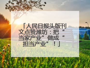 人民日报头版刊文点赞潍坊：把“当家产业”做成“担当产业”！