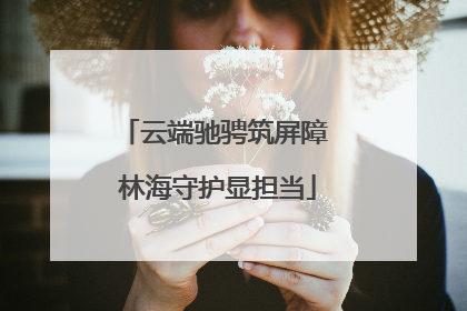 云端驰骋筑屏障 林海守护显担当