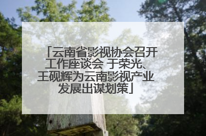 云南省影视协会召开工作座谈会 于荣光、王砚辉为云南影视产业发展出谋划策