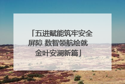 五进赋能筑牢安全屏障 数智领航绘就金叶安澜新篇