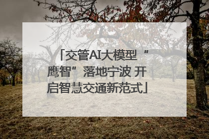 交管AI大模型“鹰智”落地宁波 开启智慧交通新范式