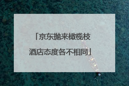京东抛来橄榄枝 酒店态度各不相同