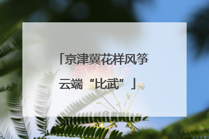 京津冀花样风筝云端“比武”