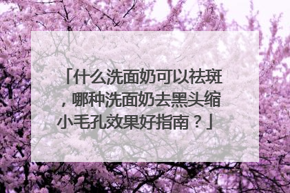 什么洗面奶可以祛斑，哪种洗面奶去黑头缩小毛孔效果好指南？