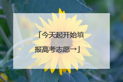 今天起开始填报高考志愿→