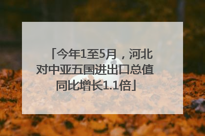 今年1至5月，河北对中亚五国进出口总值同比增长1.1倍