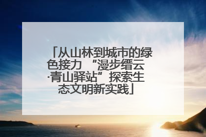 从山林到城市的绿色接力 “漫步缙云·青山驿站”探索生态文明新实践