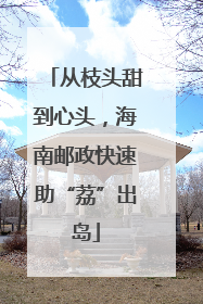 从枝头甜到心头，海南邮政快速助“荔”出岛