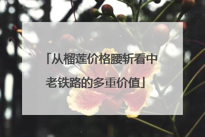 从榴莲价格腰斩看中老铁路的多重价值