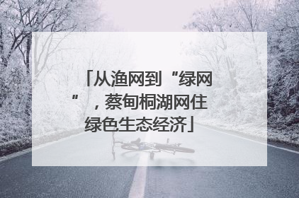 从渔网到“绿网”，蔡甸桐湖网住绿色生态经济