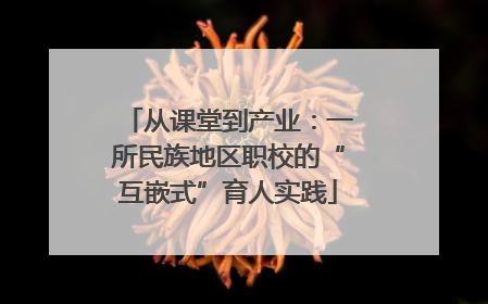 从课堂到产业：一所民族地区职校的“互嵌式”育人实践