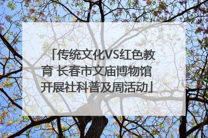 传统文化VS红色教育 长春市文庙博物馆开展社科普及周活动