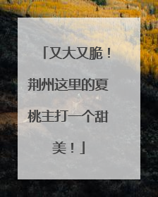 又大又脆！荆州这里的夏桃主打一个甜美！