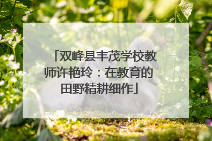 双峰县丰茂学校教师许艳玲：在教育的田野精耕细作