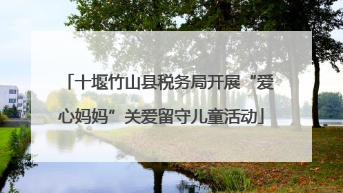 十堰竹山县税务局开展“爱心妈妈”关爱留守儿童活动