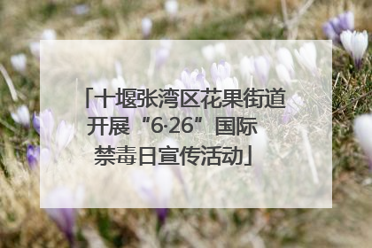 十堰张湾区花果街道开展“6·26”国际禁毒日宣传活动