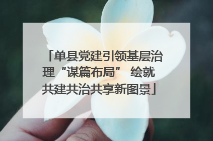 单县党建引领基层治理“谋篇布局” 绘就共建共治共享新图景