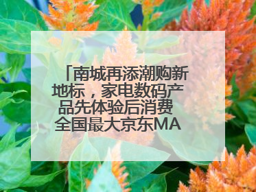 南城再添潮购新地标，家电数码产品先体验后消费 全国最大京东MALL开业