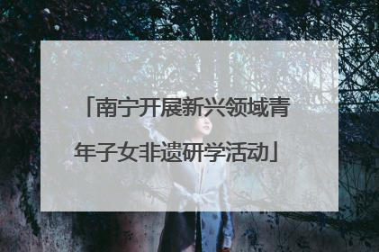 南宁开展新兴领域青年子女非遗研学活动