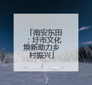 南安东田：圩市文化焕新助力乡村振兴