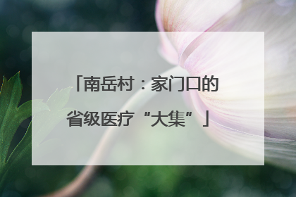 南岳村：家门口的省级医疗“大集”