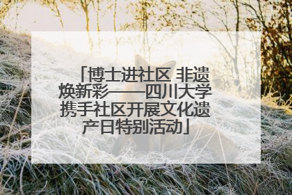 博士进社区 非遗焕新彩——四川大学携手社区开展文化遗产日特别活动