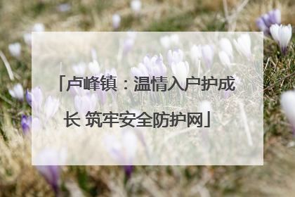 卢峰镇：温情入户护成长 筑牢安全防护网