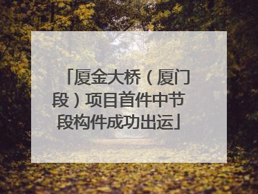 厦金大桥（厦门段）项目首件中节段构件成功出运