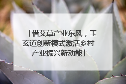 借艾草产业东风，玉玄道创新模式激活乡村产业振兴新动能