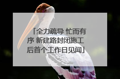 全力疏导 忙而有序 新建路封闭施工后首个工作日见闻