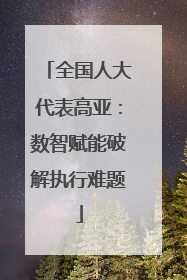 全国人大代表高亚：数智赋能破解执行难题