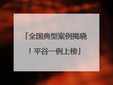 全国典型案例揭晓！平谷一例上榜