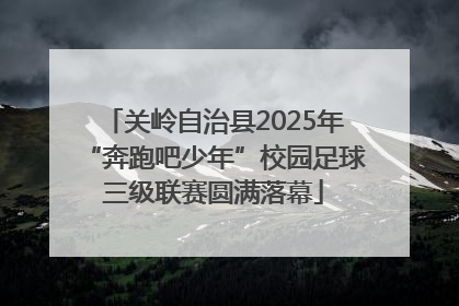 关岭自治县2025年“奔跑吧少年”校园足球三级联赛圆满落幕