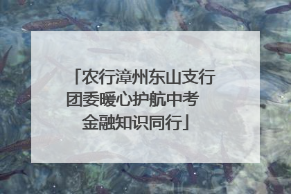 农行漳州东山支行团委暖心护航中考 金融知识同行