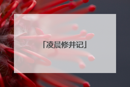 凌晨修井记