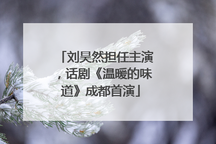 刘昊然担任主演，话剧《温暖的味道》成都首演