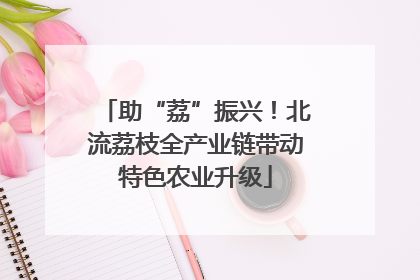 助“荔”振兴！北流荔枝全产业链带动特色农业升级