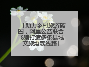 助力乡村旅游破圈，阿里公益联合飞猪打造多条县域文旅爆款线路