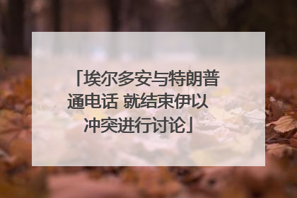 埃尔多安与特朗普通电话 就结束伊以冲突进行讨论