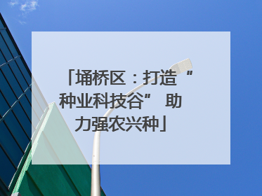 埇桥区：打造“种业科技谷” 助力强农兴种