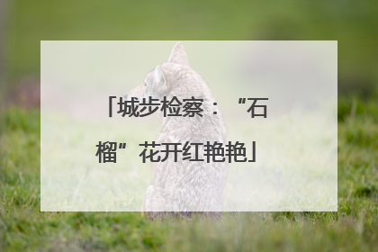 城步检察：“石榴”花开红艳艳