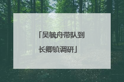 吴毓舟带队到长卿镇调研