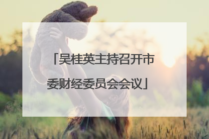 吴桂英主持召开市委财经委员会会议
