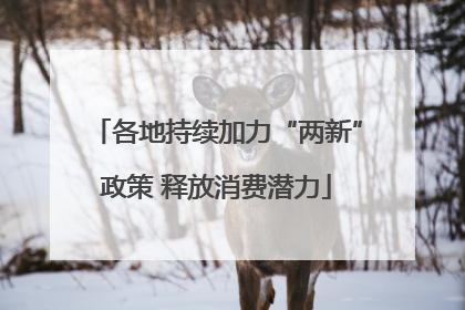 各地持续加力“两新”政策 释放消费潜力