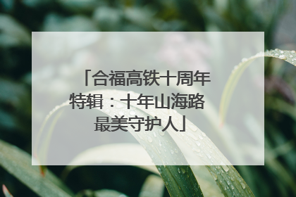 合福高铁十周年特辑：十年山海路 最美守护人