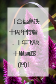 合福高铁十周年特辑：十年飞驰 千里画廊(图)