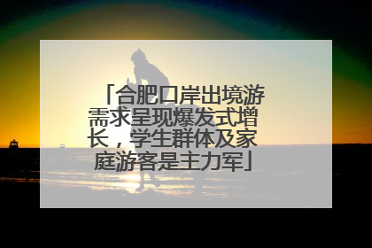 合肥口岸出境游需求呈现爆发式增长，学生群体及家庭游客是主力军