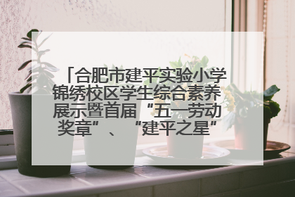 合肥市建平实验小学锦绣校区学生综合素养展示暨首届“五一劳动奖章”、“建平之星”颁奖典礼圆满举办
