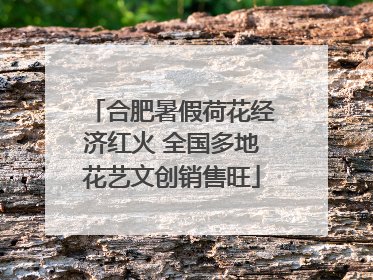 合肥暑假荷花经济红火 全国多地花艺文创销售旺