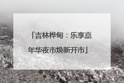 吉林桦甸：乐享嘉年华夜市焕新开市